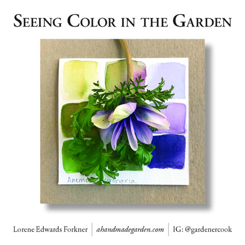 Seeing Color in the Garden