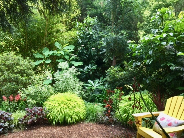 Barnard Open Garden