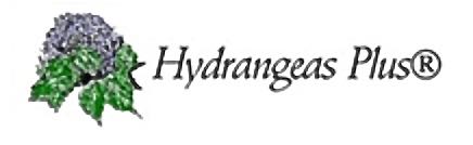 Hydrangeas Plus Nursery logo