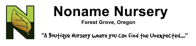Noname Nursery logo