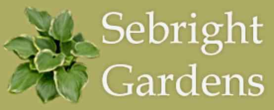 Sebright Gardens logo